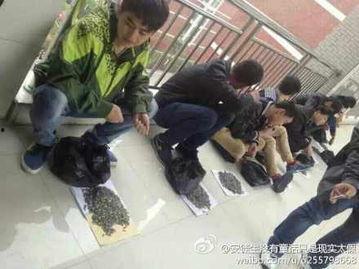 网友爆料金碧学校事件视频,校园冲突引发社会关注 第1张 网友爆料金碧学校事件视频,校园冲突引发社会关注 第1张